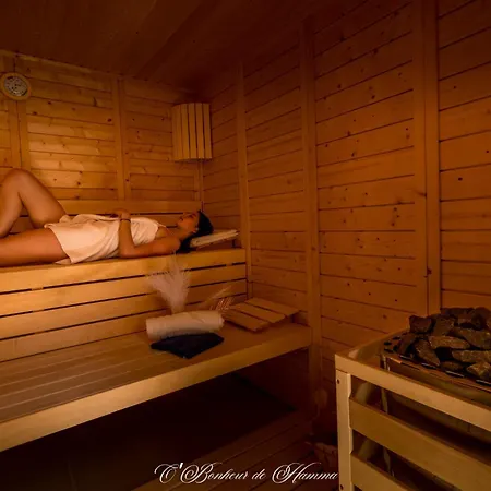 O'bonheur De Hamma 3* Castelnaudary