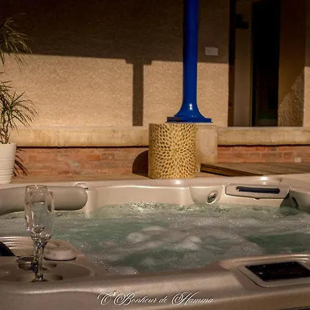 O'bonheur De Hamma 3* Castelnaudary