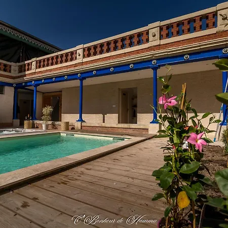 O'bonheur De Hamma 3* Castelnaudary