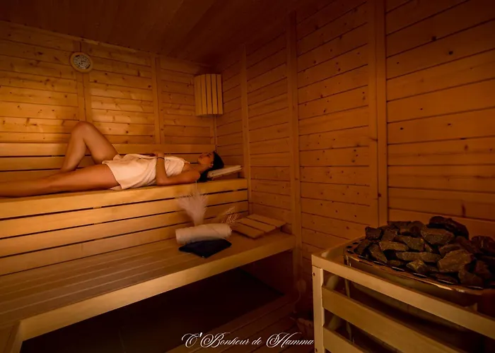 O'bonheur De Hamma 3* Кастельнодари