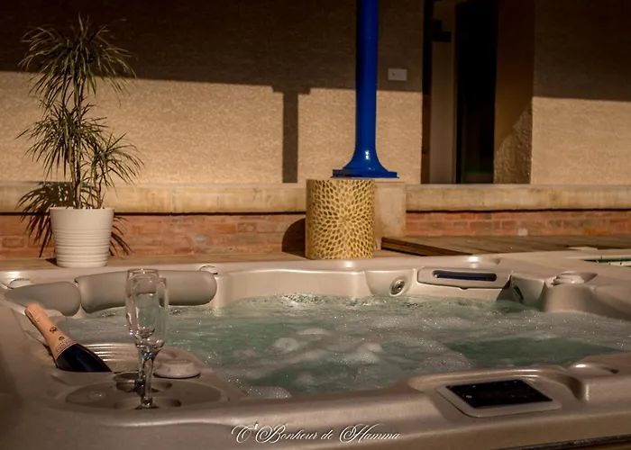 O'bonheur De Hamma 3* Кастельнодари